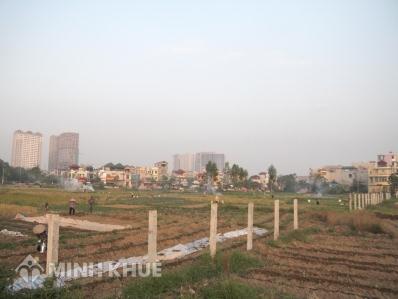 Trách nhiệm của văn phòng đăng ký quyền sử dụng đất?