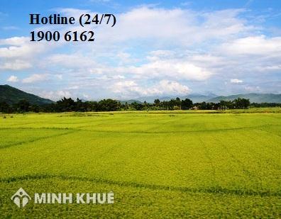 [ Free ] Liên hệ mới LMK 14-08-15 07:48
