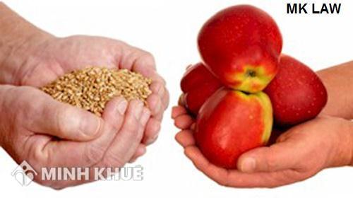 Có phải đăng ký quyền nhập, xuất khẩu, phân phối theo Thông tư 08/2013/TT-BCT không ?