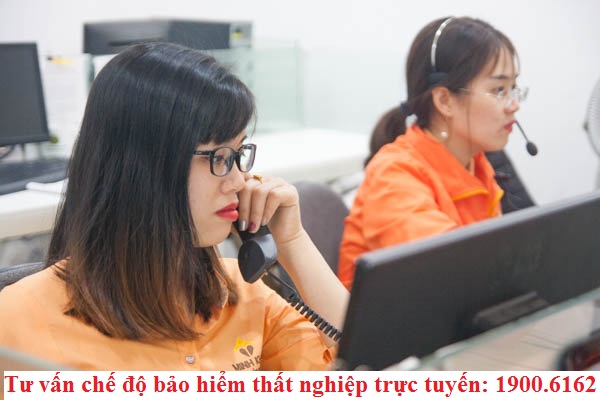 Tư vấn pháp luật trực tuyến về điều kiện hưởng, hồ sơ, thủ tục nhận tiền trợ cấp thất nghiệp