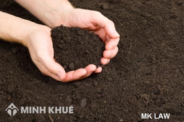 Chính quyền địa phương muốn chia mảnh đất của em ra nhiều mảnh để bán ?