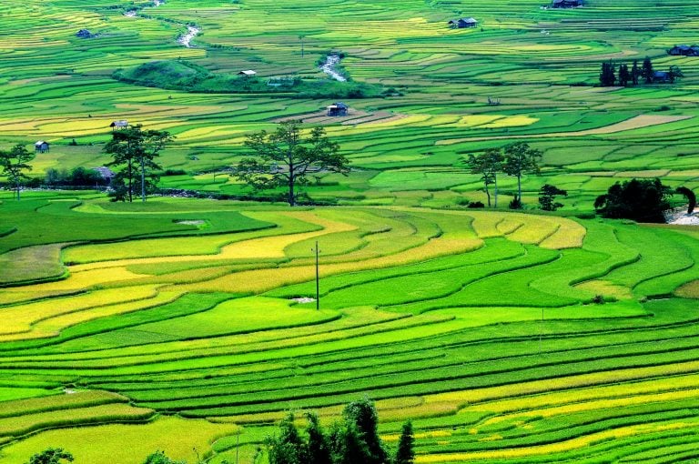 Một số lưu ý khi phân tích tội vi phạm các quy định về quản lý đất đai?