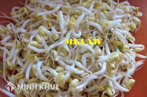 Kinh doanh đậu mầm, rau giá có cần đăng ký giấy phép kinh doanh hay không ?