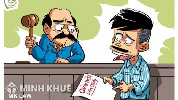 Người làm chứng có phải chịu trách nhiệm pháp lý khi khởi kiện ra tòa án dân sự không ?