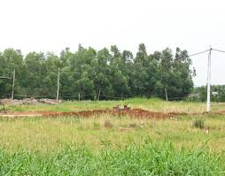 Tư vấn về việc yêu cầu bồi thường hoặc lấy lại đất khai hoang phục hóa bị xã thu hồi?