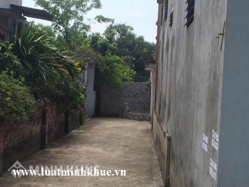 Tư vấn thủ tục thành lập 