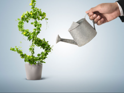 Chung tiền để mở công ty kinh doanh mỹ phẩm có được không?