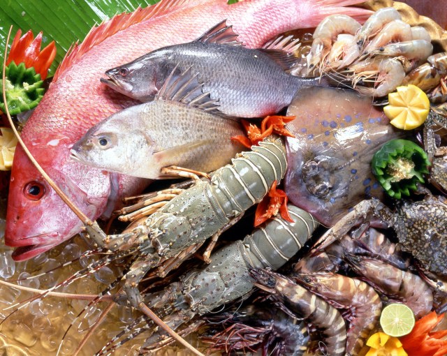Dùng thuốc nổ để đánh bắt thủy hải sản có thể bị án phạt tù?