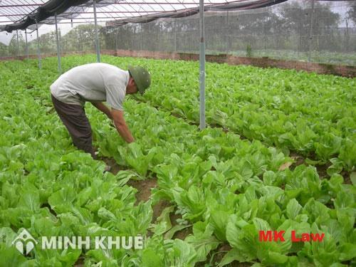  Có được đứng tên công ty khác khi tài khoản công ty cũ đã bị khóa không ?