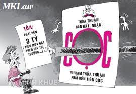 Tư vấn trường hợp bên mua đất đòi lại tiền đặt cọc ?