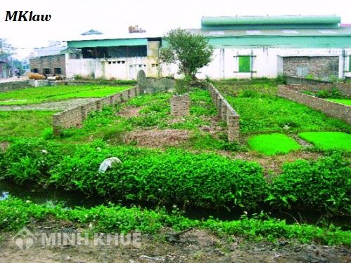 Chuyển nhượng QSD đất và tài sản trên đất trong khu công nghiệp ?