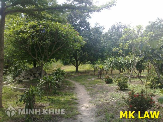 Thủ tục giấy tờ bán một phần đất