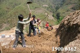 Tư vấn thủ tục thành lập 