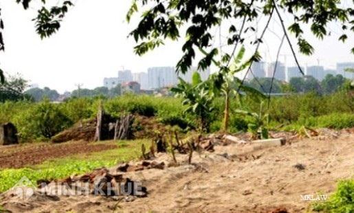 Thẩm quyền thu lý đơn tố cáo của UBND xã và huyện ?