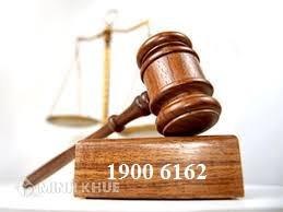 Tư vấn luật đấu thầu