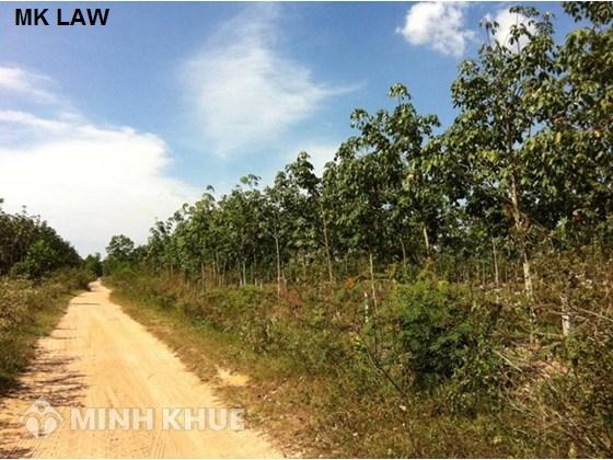 Tư vấn: Clhuyển nhượng quyền sử dụng đất có cần sự đồng ý của các con ?