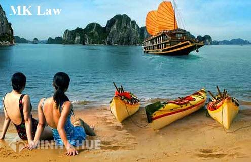 Tư vấn thủ tục thành lập 