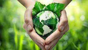 Những vấn đề cần lưu ý khi phân tích tội đưa chất thải vào lãnh thổ Việt Nam?