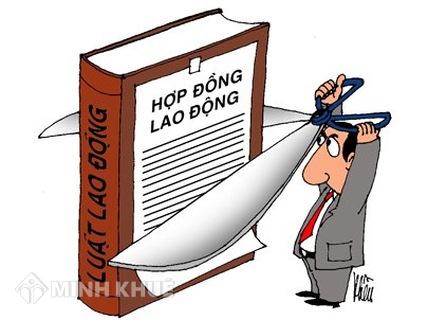 Có được kí cam kết thay cho hợp đồng lao động không ?