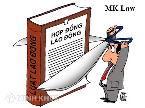 Tư vấn thủ tục thành lập 