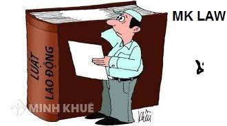Giaỉ quyết tình huống về hợp đồng lao động?
