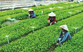 Những quan điểm mới khi phân tích tội nhập khẩu, phát tán các loài ngoại lai xâm hại?