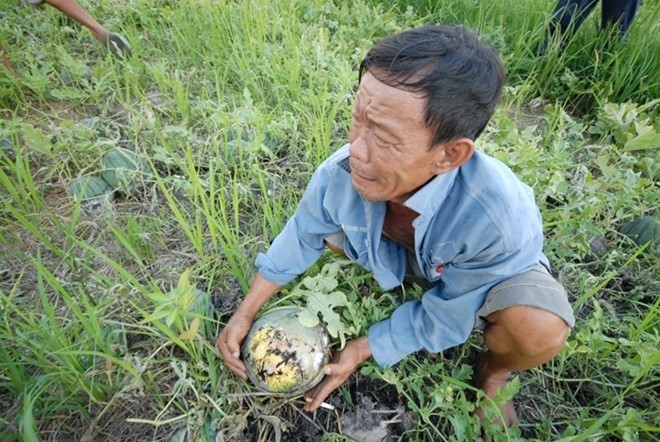 Hỏi về nước phục vụ cho sản xuất nông nghiệp