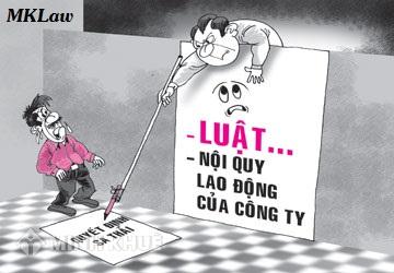 Tư vấn trường hợp kỷ luật buộc thôi việc người lao động ?