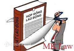 Khi sáp nhập doanh nghiệp người lao động ký hợp đồng không chính thức có được tiếp tục làm vệc ?