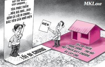 Tranh chấp ngõ đi chung ?