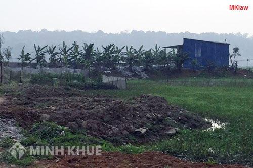 Những loại thuế nào cần đóng khi chuyển nhượng đất nông nghiệp trồng cây lâu năm ?