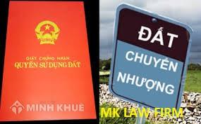 Tư vấn thủ tục thành lập 
