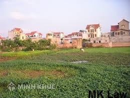 Quyền sử dụng đất tự khai hoang ?