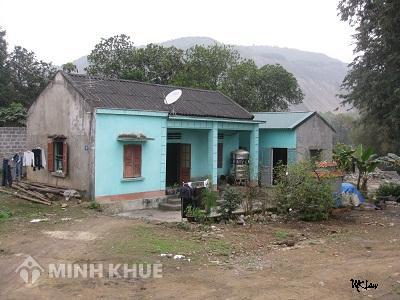 Mẹ có thể kiện đòi lấy lại mảnh đất đã chuyển nhượng cho con ?