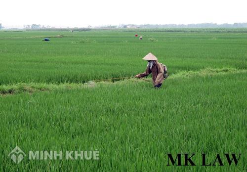 Đòi lại lối đi đất ruộng?