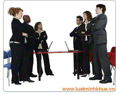 Tư vấn phân chia lợi nhuận trong công ty TNHH