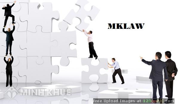 Tư vấn về các vấn đề của công ty TNHH hai thành viên trở lên ?
