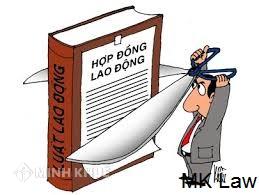 Tư vấn về lao động mùa vụ ?