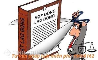 Thủ tục chấm dứt hợp đồng lao lái xe?