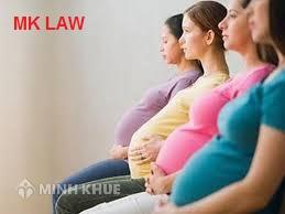 Những chế độ bảo hiểm khi mang thai ?