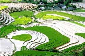 Chuyển đổi đất vườn, ao liền kề sang đất ở tại Hà Nội