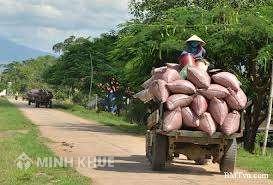Truy cứu trách nhiệm hình sự và mức bồi thường đối với với hành vi gây tai nạn giao thông?