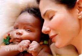 Dự án Luật nuôi con nuôi và vấn đề lồng ghép giới