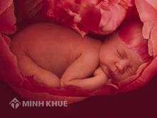 Ông H phân biệt đối xử giữa con đẻ và con nuôi có vi phạm pháp luật không?