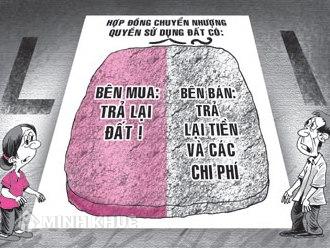 Bảo đảm của Nhà nước đối với người sử dụng đất, đối với đồng bào dân tộc thiểu số ? Trường hợp nào giao đất không thu tiền sử dụng đất ?