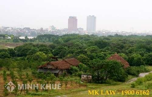 Bồi thường khi thu hồi đất cho thuế?