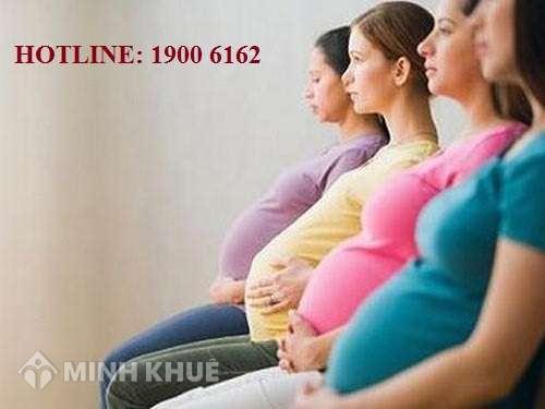 Tư vấn chế độ bảo hiểm thai sản khi công ty ngừng hoạt động?