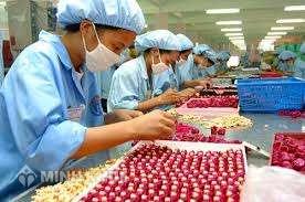 Chưa nghỉ phép thì được giải quyết thế nào ?