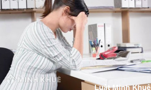 Có bầu 6 tháng bị công ty chấm dứt hợp đồng lao động ?