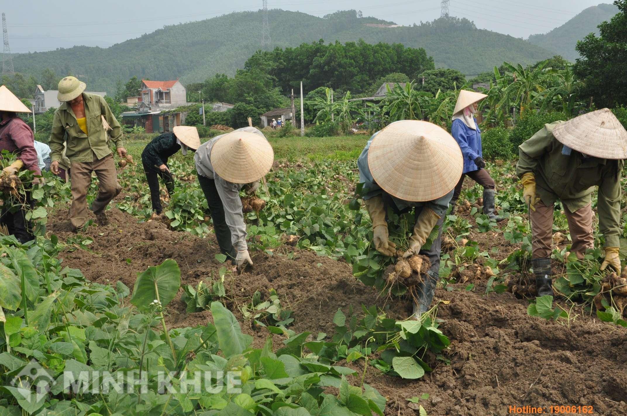 Có cần làm thủ tục chuyển đổi mục đích sử dụng đất không ?